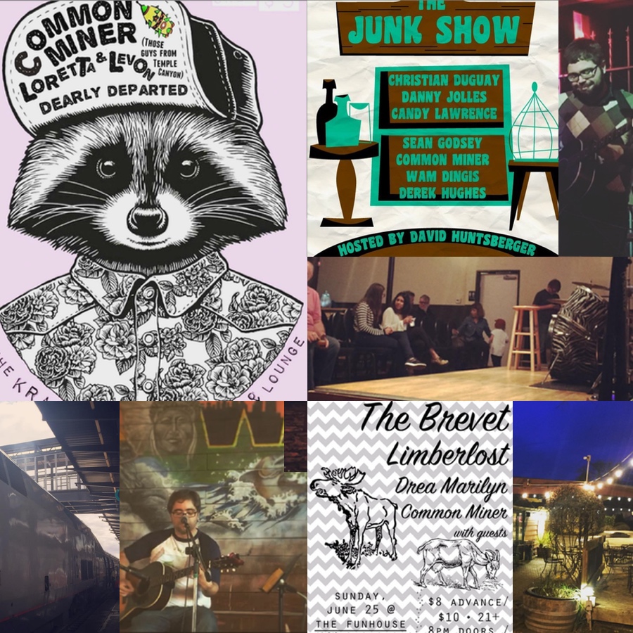 Photo collage of Common Miner performing live